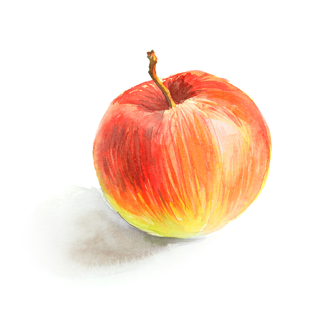 Manzana Envy como lienzo